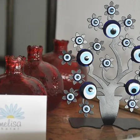 Melisa Guest house 2*