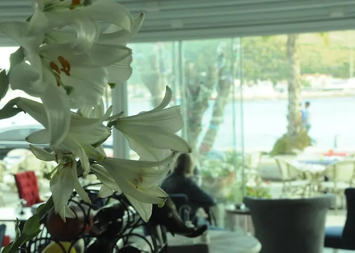 Melisa 招待所 Çeşme